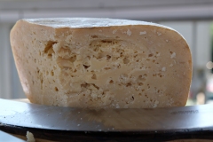 DSCF9633