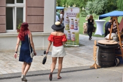 Festival-sira-II-106