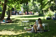 Festival-sira-II-5