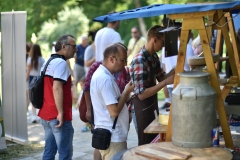 Festival-sira-drugi-dan-31