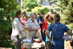 Festival-sira-drugi-dan-42